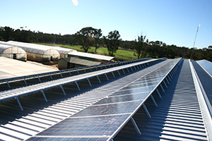 Commercial Solar Swan Hill